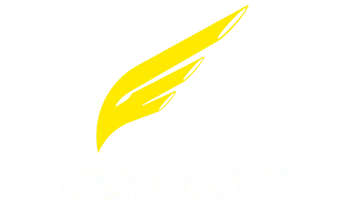 enginehawk logo